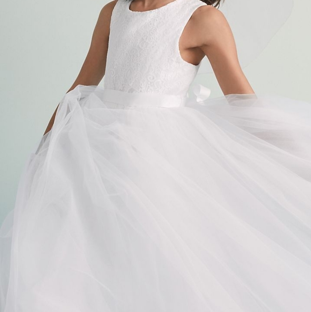 Heart cut dress David's Bridal size 10